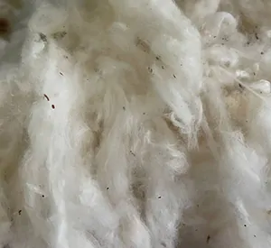 raw cotton exporter