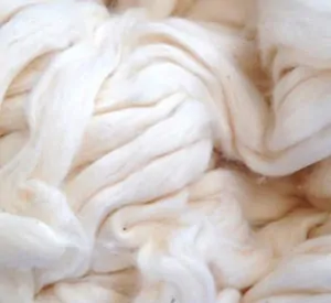 cotton roving